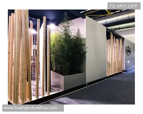 加莱诺的艺术世界探索与人文精神的深度交融之旅