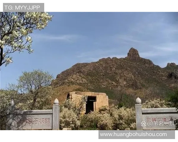 恩比与金字塔的较量探秘历史与文化的交汇点